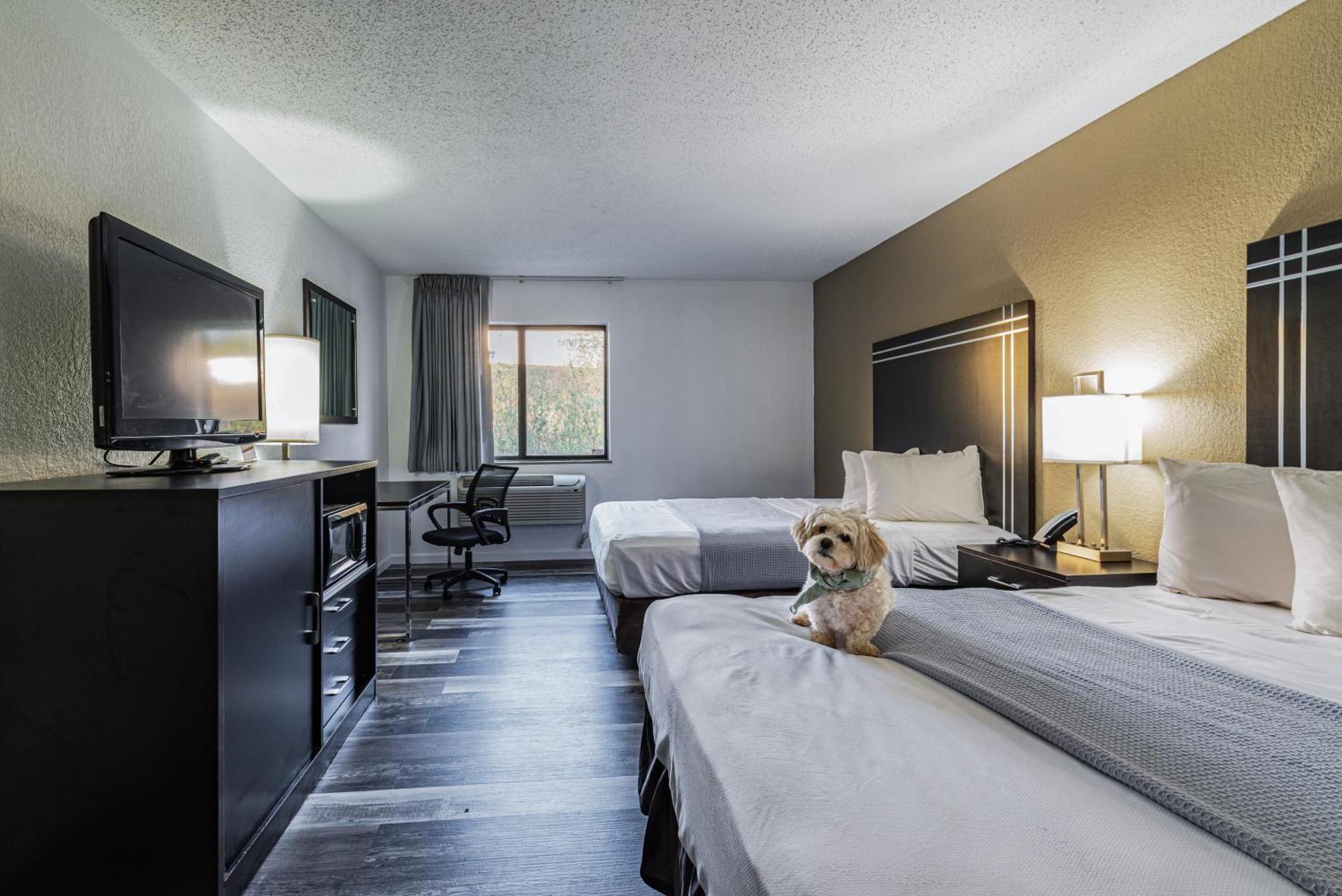 Queen Room Two Queen Beds Non Smoking or Pet Friendly